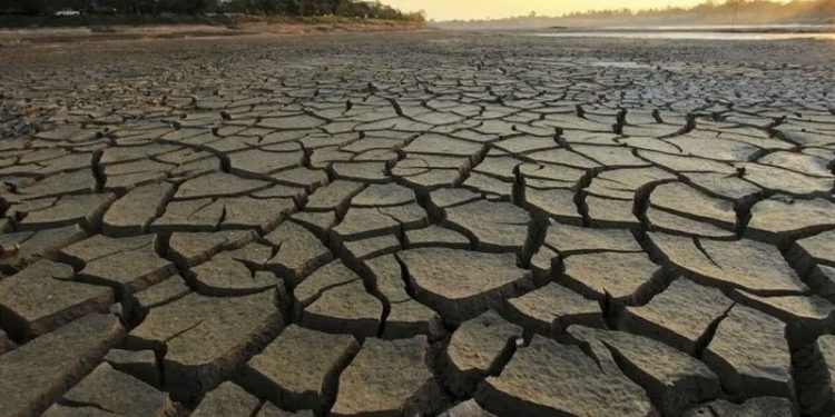 Dünya bu yılın kaynaklarını 28 Temmuz'da, Türkiye 22 Haziran'da tüketti