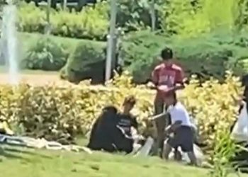 EGM, Bahçeşehir Gölet'te kazların çalınmasıyla ilgili haberleri yalanladı