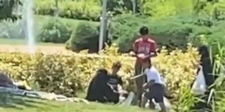 EGM, Bahçeşehir Gölet'te kazların çalınmasıyla ilgili haberleri yalanladı