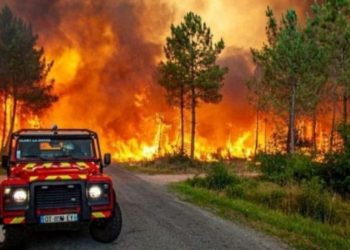 Endülüs bölgesindeki orman yangınları söndürülemiyor