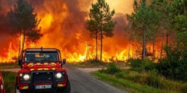 Endülüs bölgesindeki orman yangınları söndürülemiyor