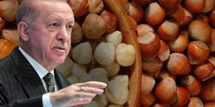 Erdoğan açıkladı: Fındık taban fiyatı 54 TL