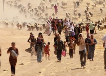 Ezidi Adalet Komitesi raporu: Türkiye, Ezidi Soykırımı'nda IŞİD'e göz yumdu