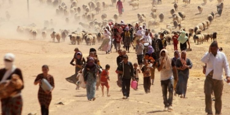 Ezidi Adalet Komitesi raporu: Türkiye, Ezidi Soykırımı'nda IŞİD'e göz yumdu
