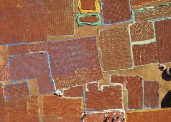 Fındıkta gözler "rekor" fiyatta