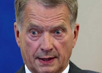 Finlandiya Cumhurbaşkanı: YPG'ye terör örgütü demedik