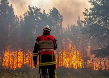 Fransa'daki orman yangınlarını "adrenalin peşindeki itfaiyeci" çıkarmış