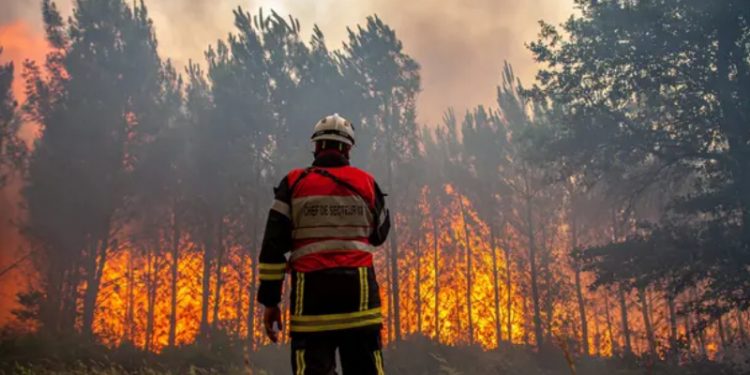 Fransa'daki orman yangınlarını "adrenalin peşindeki itfaiyeci" çıkarmış
