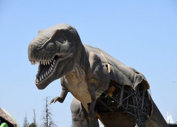 Gökçek: Mansur Yavaş’ın gösterdiği dinozorlar benim değil, onların gözleri ışıl ışıldı