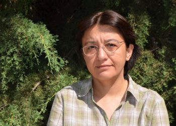 HDP Danışma Kurulu &uuml;yeliği Prof. Şebnem Oğuz'u işinden etti!