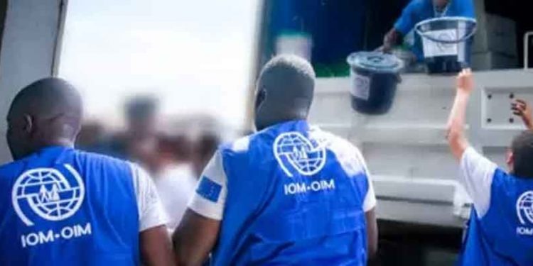 Haiti’nin başkentinde çete şiddeti: 10 günde 209 ölü