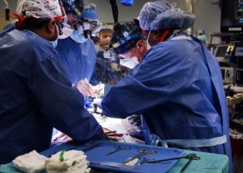 Hollanda'da yapay kalp nakli yapılan ilk hasta &ouml;ld&uuml;