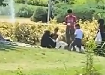 'İki kadın İstanbul'daki bir göletten kazları çaldı' iddiasına ilişkin Emniyet'ten açıklama