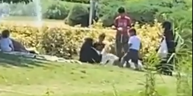 'İki kadın İstanbul'daki bir göletten kazları çaldı' iddiasına ilişkin Emniyet'ten açıklama