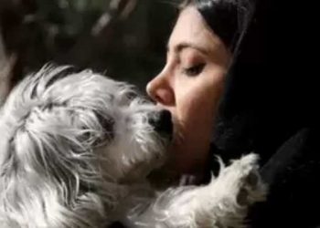 İran'da evcil hayvan sahibi olmak 'hapse girme nedeni olabilir'