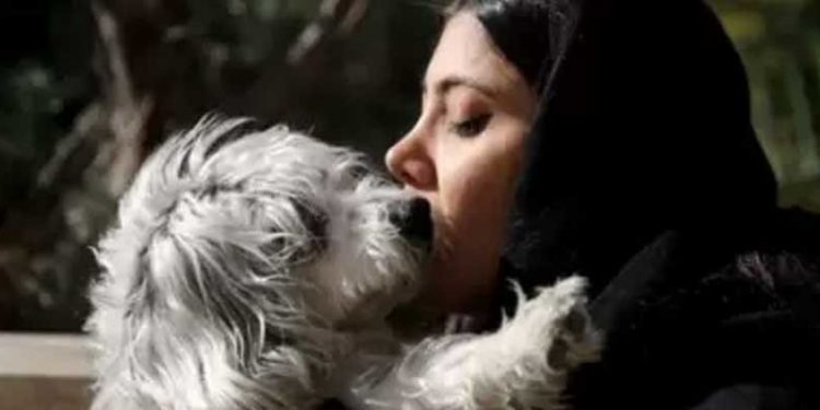 İran'da evcil hayvan sahibi olmak 'hapse girme nedeni olabilir'