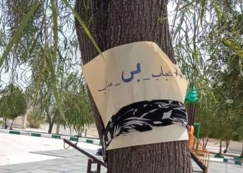 İran'da kadınlar 'Tesettür ve İffet Günü'ne karşı eylemde