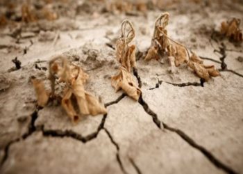 İtalya’nın kuzeyinde kuraklık nedeniyle olağanüstü hâl ilan edildi