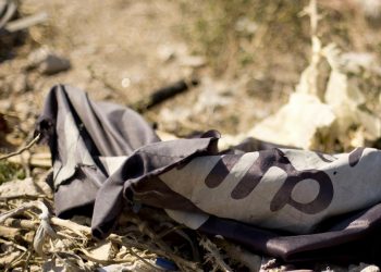 IŞİD Türkiye'de mi örgütleniyor?