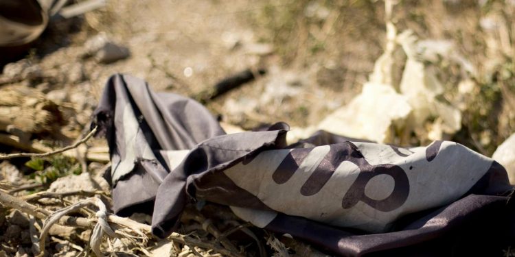 IŞİD Türkiye'de mi örgütleniyor?