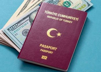 'Kaç kişiye parayla vatandaşlık verilmiştir?' sorusuna Soylu'dan yanıt: Yönetmeliğe göre yapılmaktadır