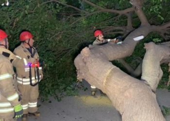 Kadıköy'de ağaç devrildi, yol kapandı