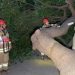 Kadıköy'de ağaç devrildi, yol kapandı