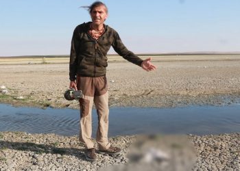 Konya'daki Düden Göleti’nde yüzlerce martı ölü bulundu