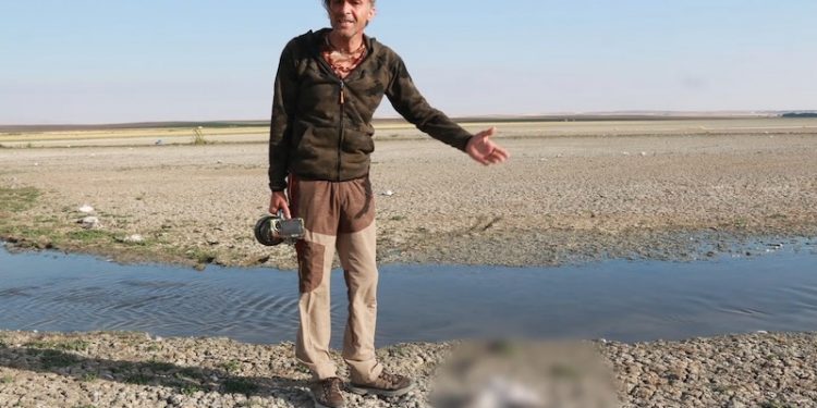 Konya'daki Düden Göleti’nde yüzlerce martı ölü bulundu
