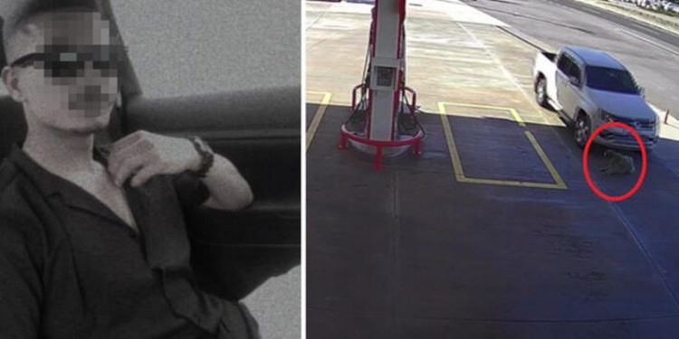 Köpeği ezmek için yolunu değiştiren sürücüye 2 bin TL 'ceza'