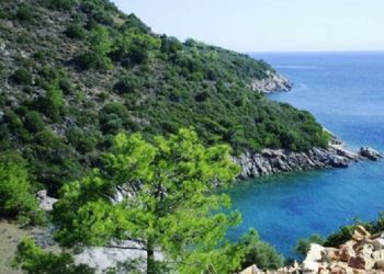 Kültür ve Turizm Bakanı Ersoy’un şirketinden sit alanına 5 yıldızlı otel inşaatı başvurusu