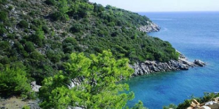 Kültür ve Turizm Bakanı Ersoy’un şirketinden sit alanına 5 yıldızlı otel inşaatı başvurusu