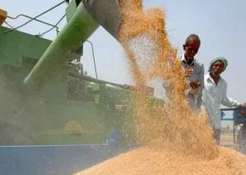 Küresel Gıda Güvenliği Endeksi: Türkiye, 113 ülke içinde 48. sırada