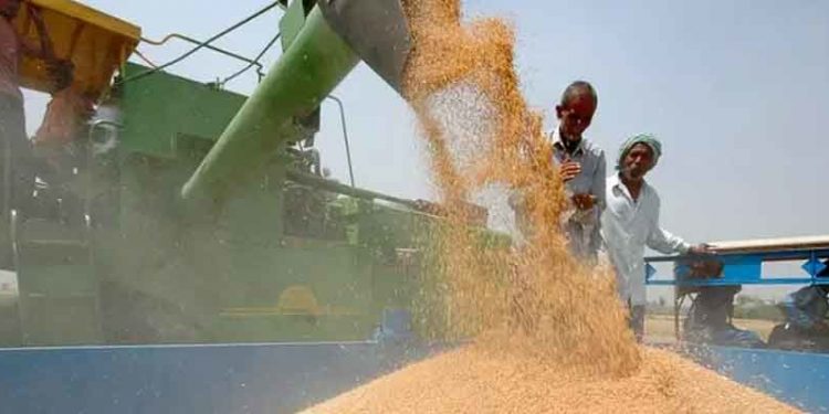 Küresel Gıda Güvenliği Endeksi: Türkiye, 113 ülke içinde 48. sırada