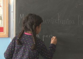 Kürtçe seçmeli dersi 20 bin öğrenci tercih etti, bakanlık 3 kontenjan ayırdı
