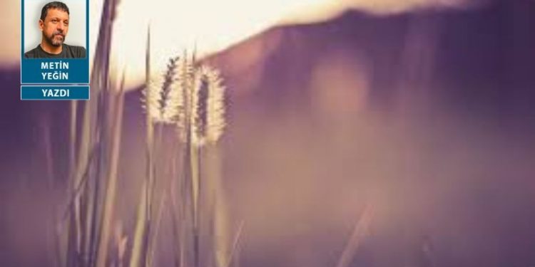 Lezzetli bir koku üzerine