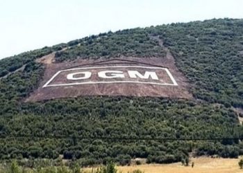 Lojmanları işgal etmişlerdi: Orman Genel Müdürlüğü'nde iki isim görevden alındı