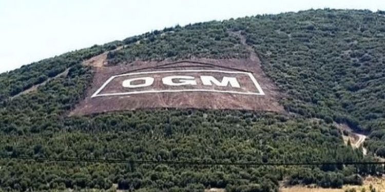 Lojmanları işgal etmişlerdi: Orman Genel Müdürlüğü'nde iki isim görevden alındı