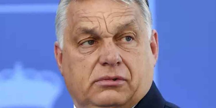 Macar meclisi, AB Parlamentosu'nun gücünü azaltmayı hedefleyen kanun teklifini onayladı