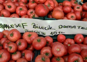 Manav etiketi: Maalesef Bilecik domatesi, Bilecik’te 15 TL