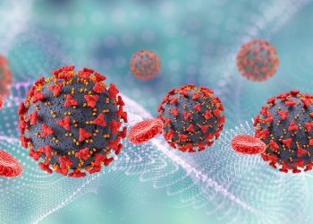 Maymun çiçeği için 'küresel acil durum' ilan edildi