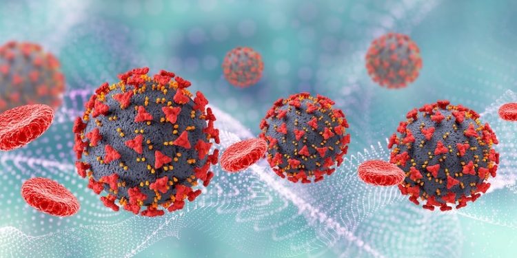 Maymun çiçeği için 'küresel acil durum' ilan edildi