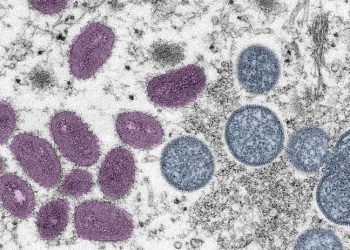 Maymun çiçeği vakaları son iki haftada üçe katlandı