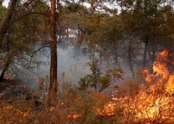 Meteoroloji'den yangın bölgelerine uyarı