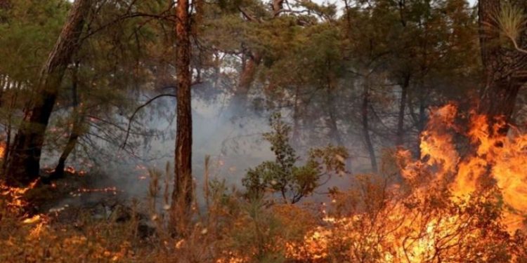 Meteoroloji'den yangın bölgelerine uyarı