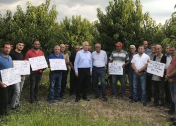 Meyve üreticileri fabrikanın belirlediği taban fiyatı protesto etti