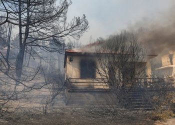 Midilli Adası'nda orman yangını: Alevler evlere sıçradı