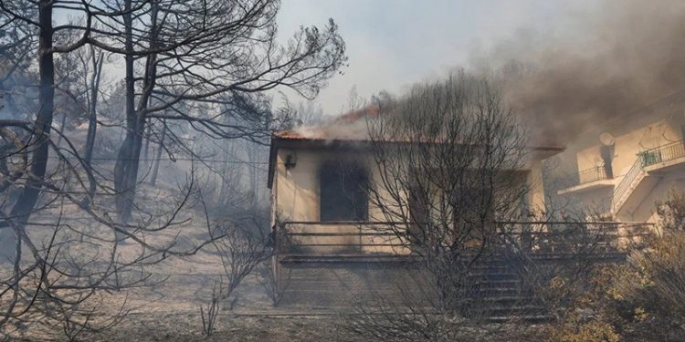 Midilli Adası'nda orman yangını: Alevler evlere sıçradı