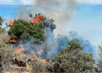 Muğla Valiliği'nden orman yangını riski uyarısı