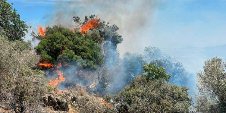 Muğla Valiliği'nden orman yangını riski uyarısı